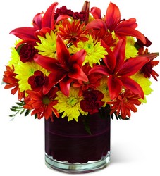 The FTD Natural Elegance Bouquet from Victor Mathis Florist in Louisville, KY